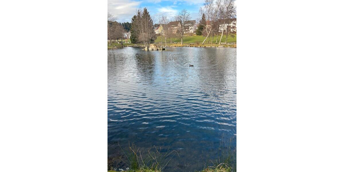 Etagenwohnung Schönwald im Schwarzwald - 1 Zimmer, 38 m&sup2;, 75.000&euro; | Angebot:24988807