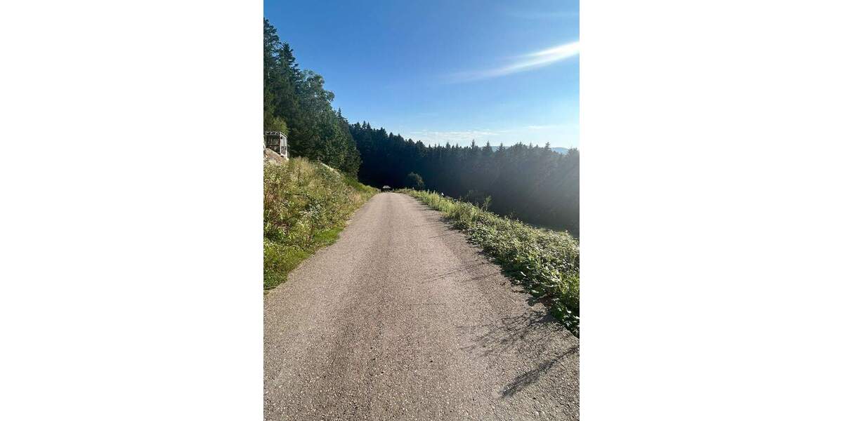 Einfamilienhaus Schenkenzell - 7 Zimmer, 260 m&sup2;, 1.300.000&euro; | Angebot:25682659