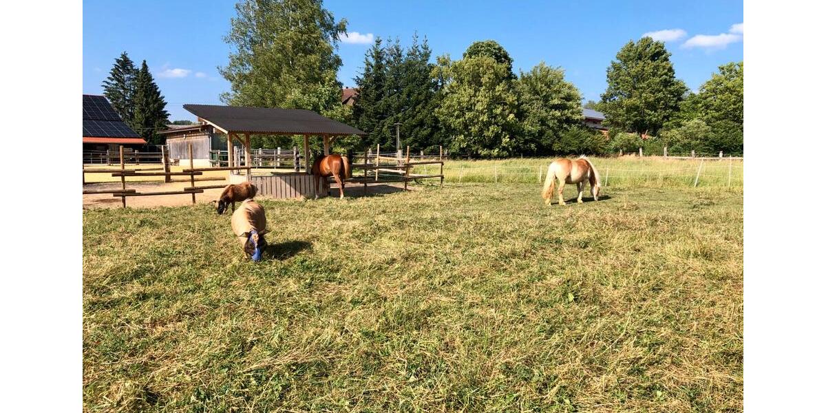 Mehrfamilienhaus, Wohnhaus Donaueschingen - 10 Zimmer, 400 m&sup2;, 1.275.000&euro; | Angebot:26036419