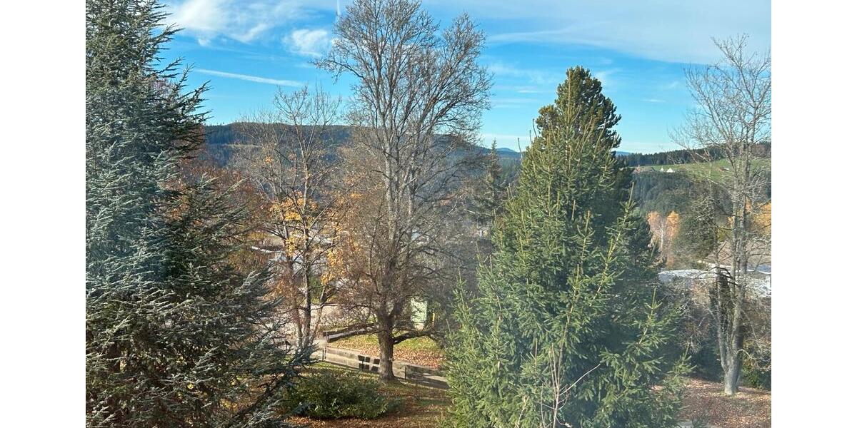 Etagenwohnung Schramberg - 3 Zimmer, 98 m&sup2;, 220.000&euro; | Angebot:20135802