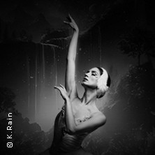 Grand Classic Ballet - Schwanensee - Jenseits der Bühne mit live Streichquartett 11.09.2026 Angerhalle Tuttlingen / Möhringen