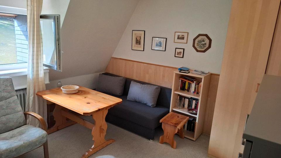 Etagenwohnung Schönwald im Schwarzwald - 1 Zimmer, 22 m&sup2;, 560&euro; | Angebot:25870603