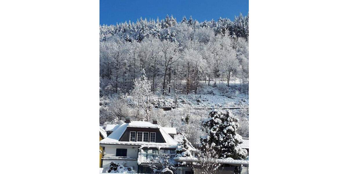 Einfamilienhaus Hornberg Stadtgebiet - 7 Zimmer, 200 m&sup2;, 599.000&euro; | Angebot:25736899