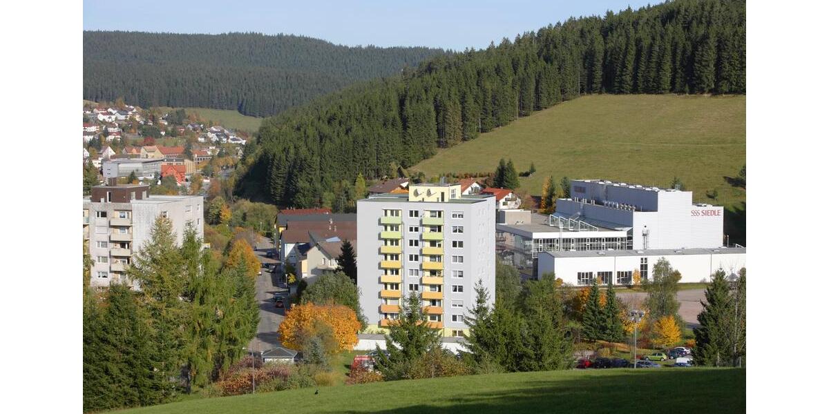 Etagenwohnung Furtwangen im Schwarzwald - 2 Zimmer, 46 m&sup2;, 620&euro; | Angebot:25216553