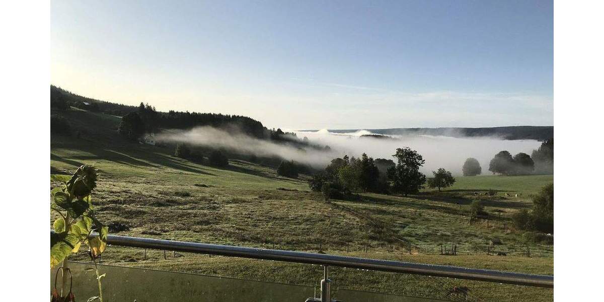 Einfamilienhaus Lenzkirch Saig - 9 Zimmer, 208 m&sup2;, 700.000&euro; | Angebot:25835773