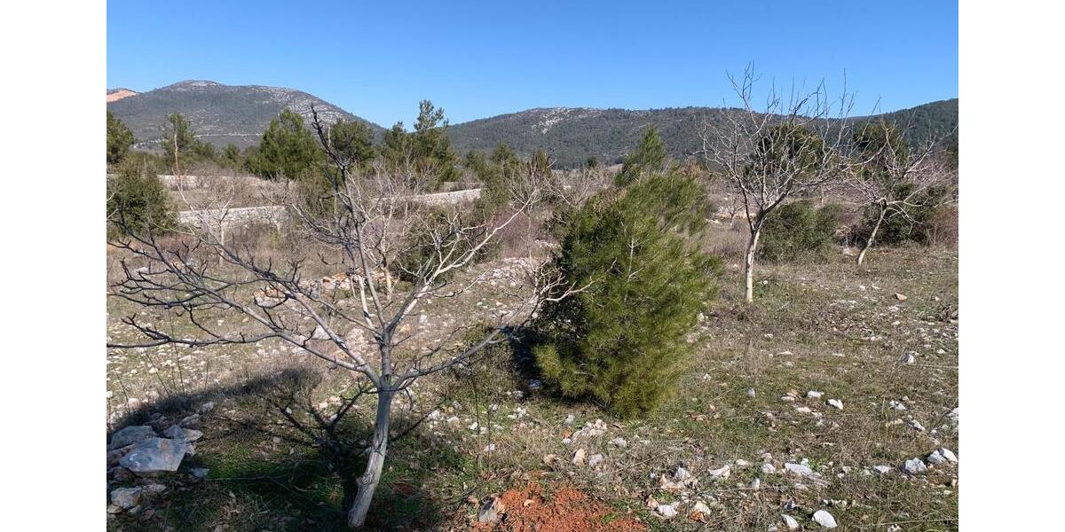 Einfamilienhaus Triberg im Schwarzwald - 2 Zimmer, 1 m&sup2;, 230.000&euro; | Angebot:26026080