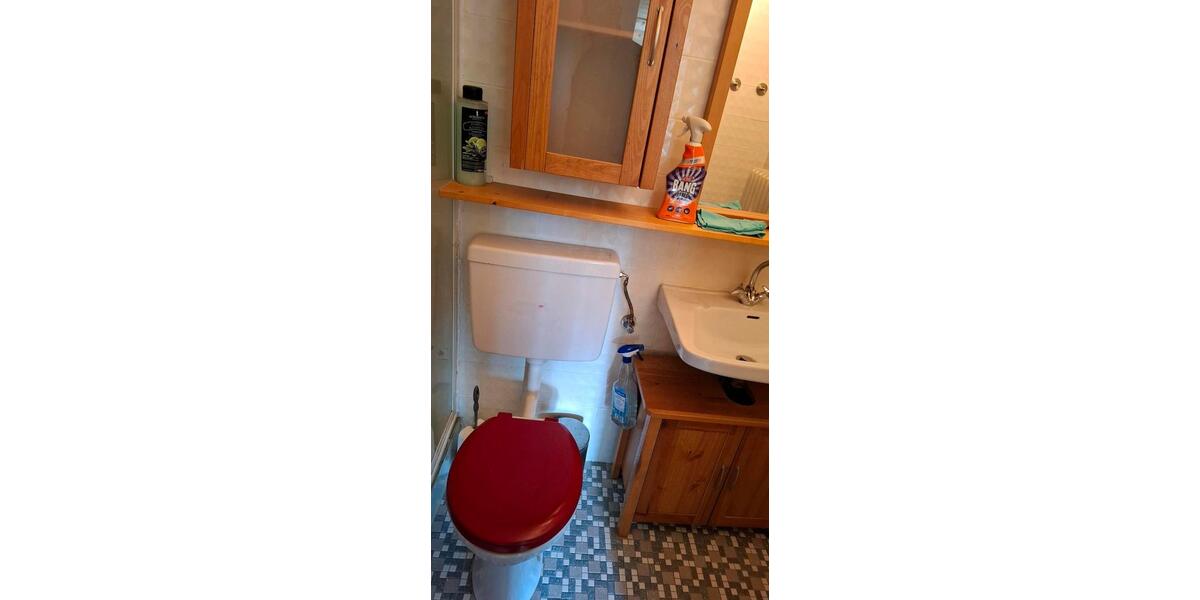 Etagenwohnung Schönwald im Schwarzwald - 1 Zimmer, 22 m&sup2;, 560&euro; | Angebot:25870603