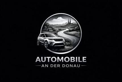 Audi Q2 103.000 km 18.999 &euro; Donaueschingen 78166