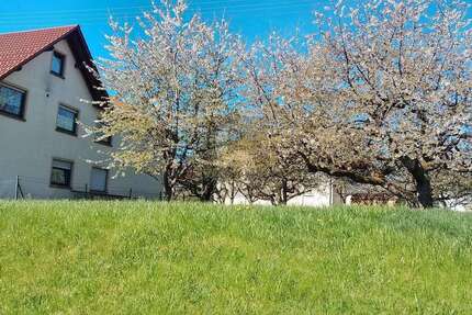Grundstück Schömberg - 179.000&euro; | Angebot:26663966