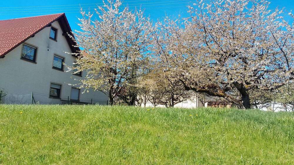 Grundstück Schömberg - 179.000&euro; | Angebot:26663966