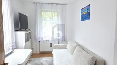 DAS RENDITE-KRAFTPAKET IN TRIBERG - Mehrfamilienhaus, Wohnhaus Triberg | Angebot:27321374