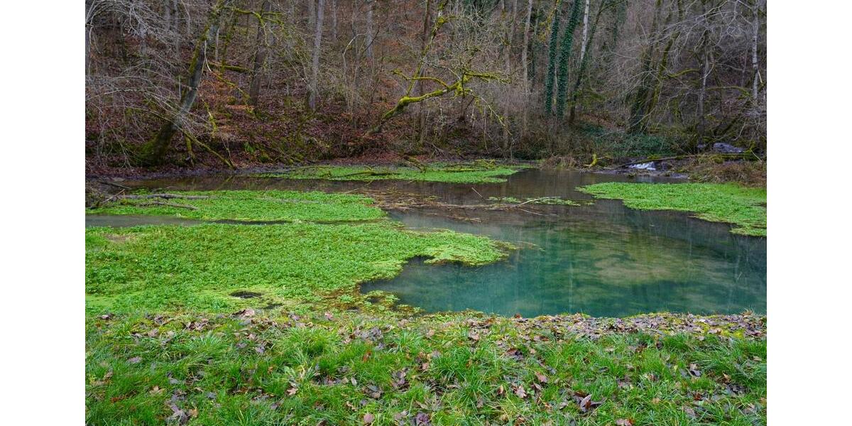 Einfamilienhaus Oberndorf am Neckar - 5 Zimmer, 156 m&sup2;, 1.499.000&euro; | Angebot:23902613