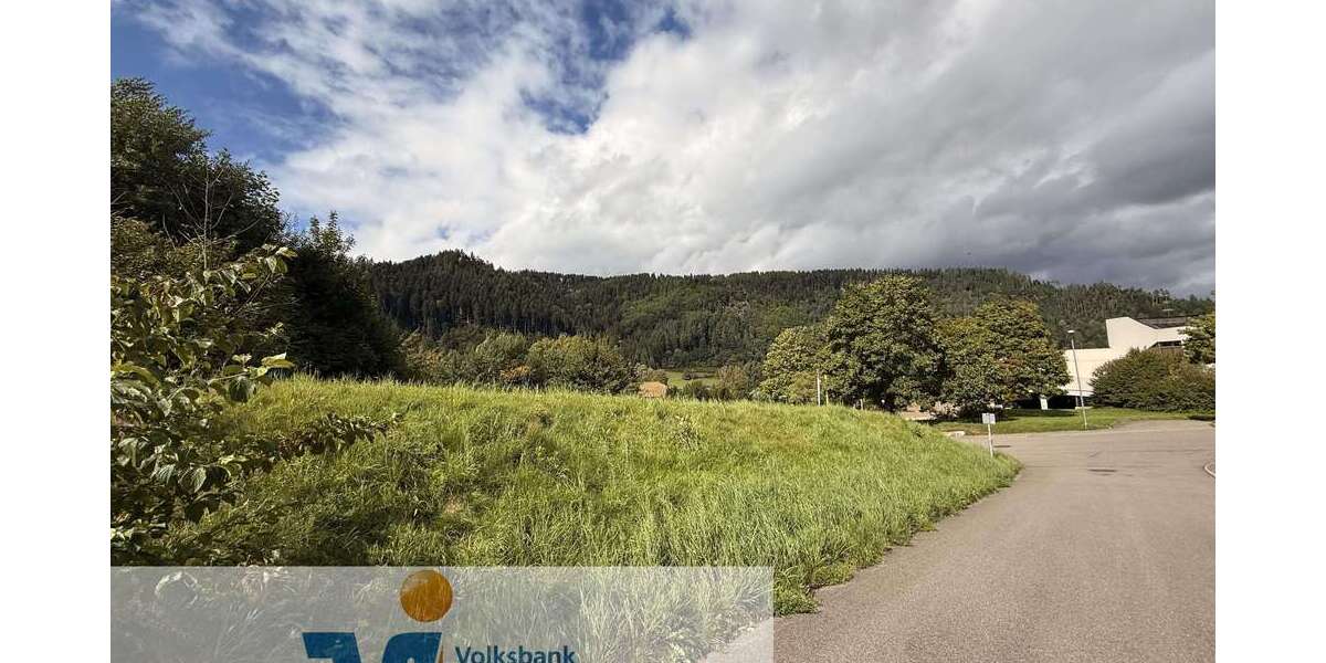 Grundstück Schiltach - 75.000&euro; | Angebot:23579249