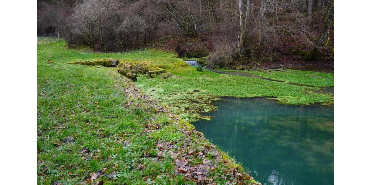 Einfamilienhaus Oberndorf am Neckar - 5 Zimmer, 156 m&sup2;, 1.499.000&euro; | Angebot:23902613