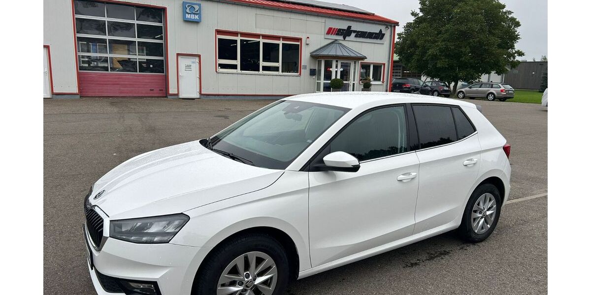 Skoda Fabia 11.100 km 17.880 &euro; Geisingen 78187