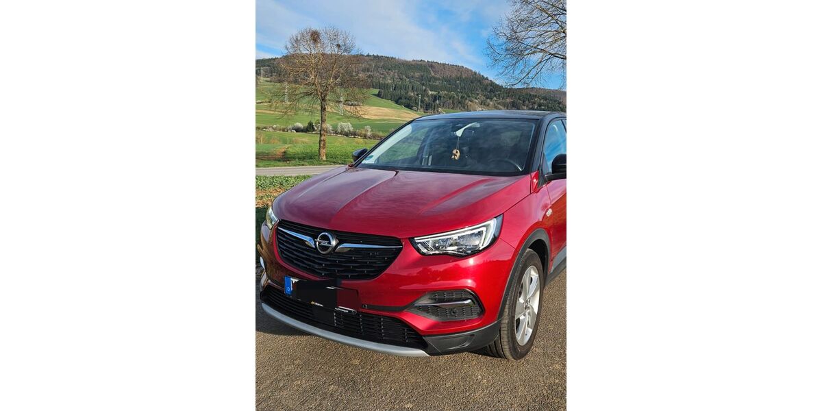 Opel Grandland (X) 61.000 km 21.599 &euro; Schonach 78136