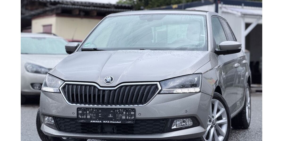 Skoda Fabia 50.230 km 13.599 &euro; Tuttlingen 78532