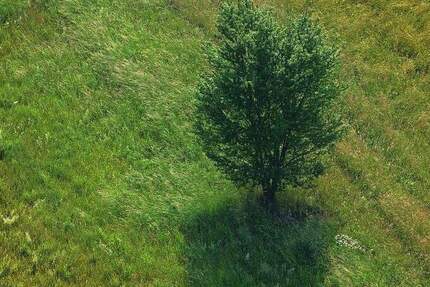 Grundstück Bad Dürrheim - 320.000&euro; | Angebot:25770341