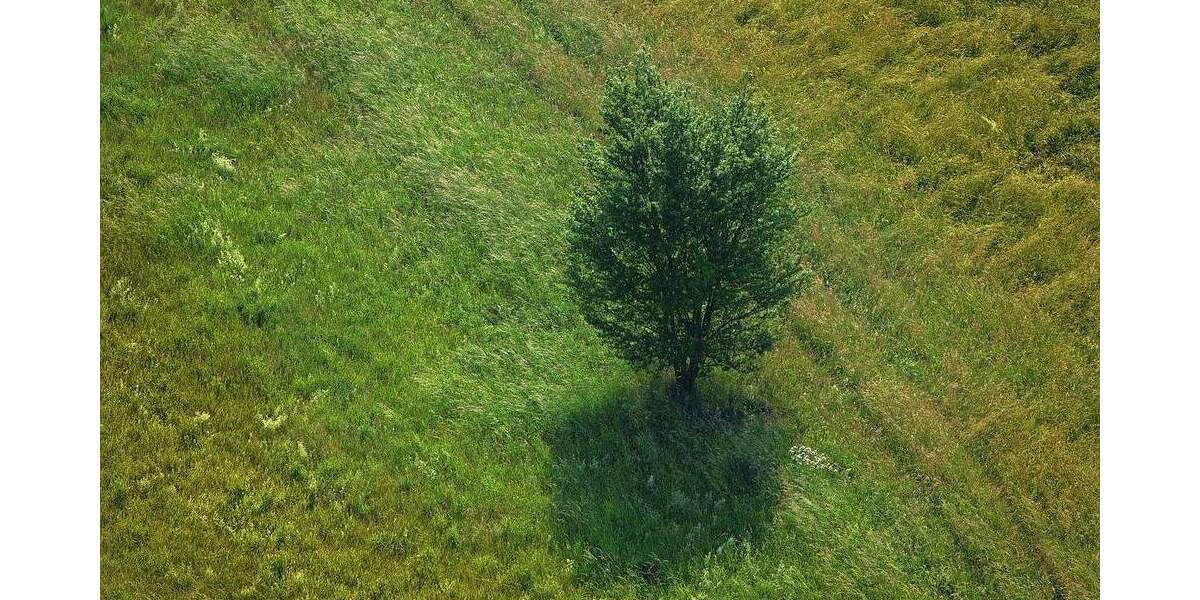 Grundstück Bad Dürrheim - 320.000&euro; | Angebot:25770341