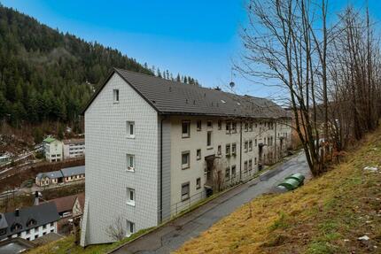 Wohnung Triberg im Schwarzwald - 2 Zimmer, 44 m&sup2;, 300&euro; | Angebot:25450800