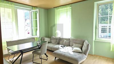 DAS RENDITE-KRAFTPAKET IN TRIBERG - Mehrfamilienhaus, Wohnhaus Triberg | Angebot:27321374