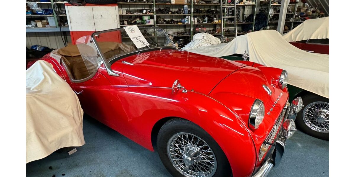 Triumph TR3 65.408 km 28.000 &euro; Löffingen 79843