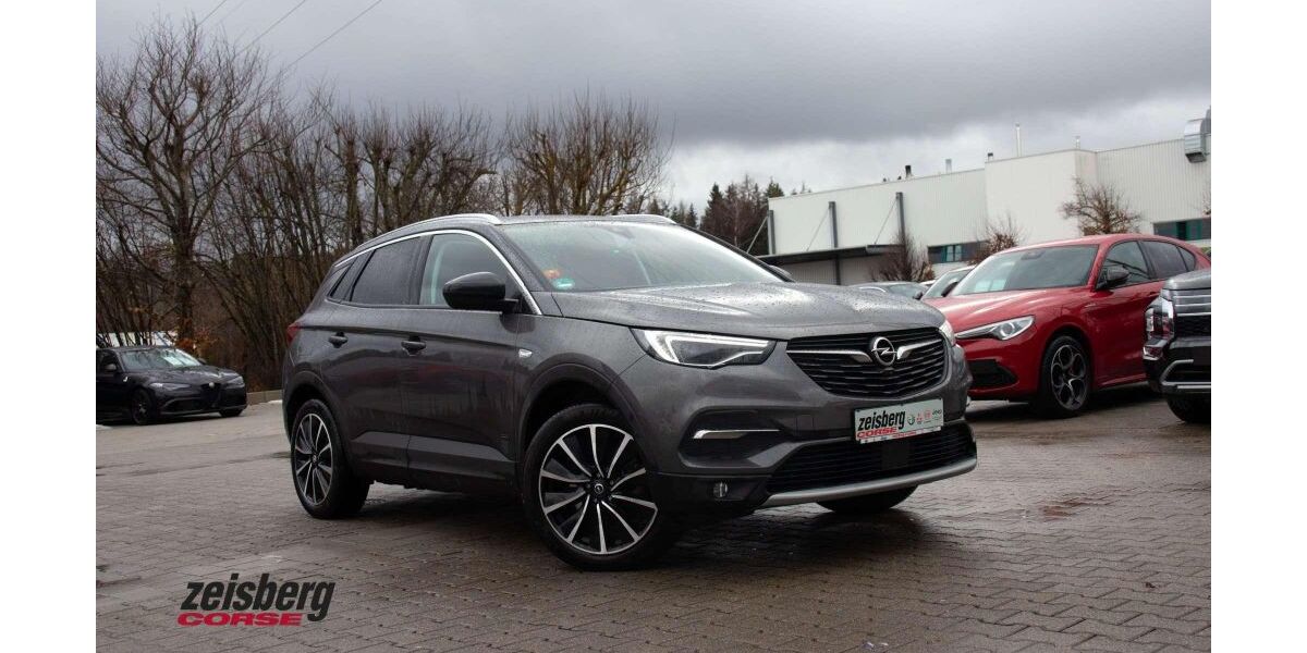 Opel Grandland (X) 40.600 km 20.750 &euro; Mönchweiler 78087