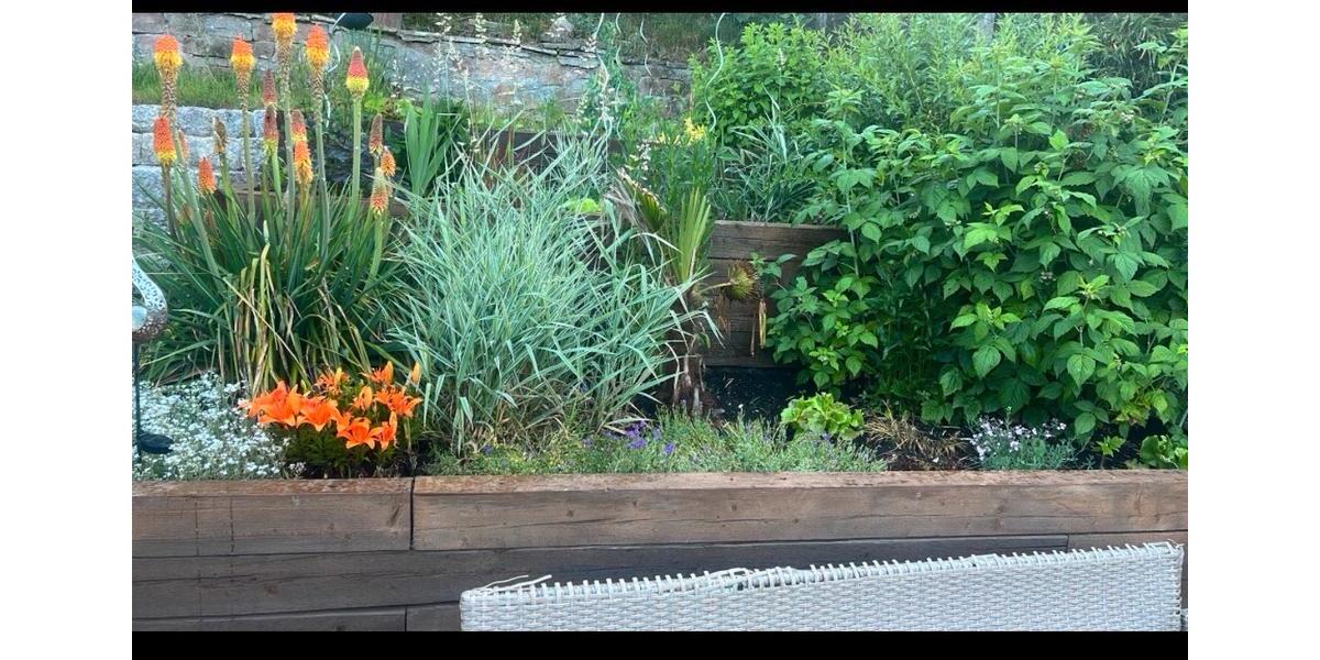 Etagenwohnung Lauterbach - 3 Zimmer, 95 m&sup2;, 700&euro; | Angebot:25182470