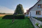 Doppelhaushälfte Friedenweiler - 7.5 Zimmer, 240 m&sup2;, 2.475&euro; | Angebot:26581249