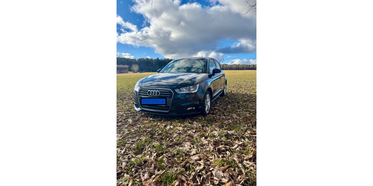 Audi A1 124.078 km 7.990 &euro; Schiltach 77761