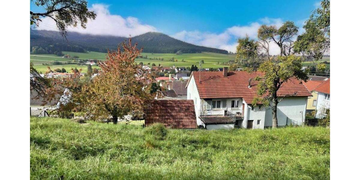 Bauernhaus, Landhaus Deilingen - 6 Zimmer, 112 m&sup2;, 157.000&euro; | Angebot:25732036