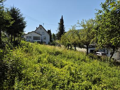 SONNIG & RUHIG MIT ERWEITERUNGSOPTION - Grundstück Tuttlingen | Angebot:27001589