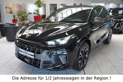 Cupra Terramar 1.800 km 36.990 &euro; Zimmern ob Rottweil 78658