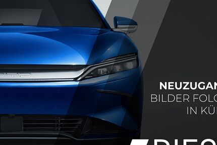 BYD TANG 14.962 km 48.900 &euro; Rottweil 78628