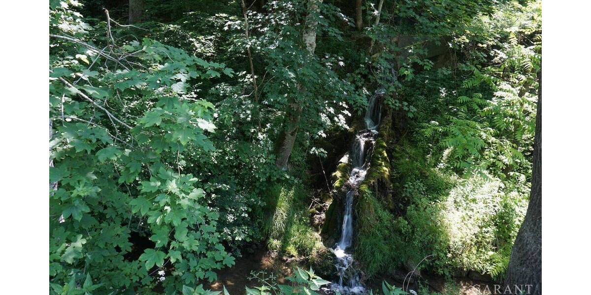 Mehrfamilienhaus, Wohnhaus Epfendorf Trichtingen - 1 Zimmer, 250 m&sup2;, 595.000&euro; | Angebot:25707656