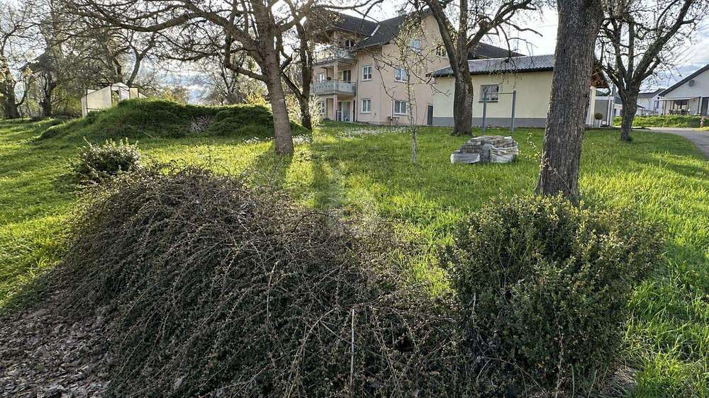 Grundstück Wutach - 65.000&euro; | Angebot:26920709