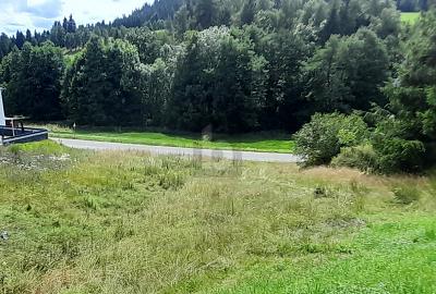 SOFORT BEBAUBAR: GENEHMIGTES WOHNHAUS INKLUSIVE - Grundstück Lauterbach | Angebot:25939992