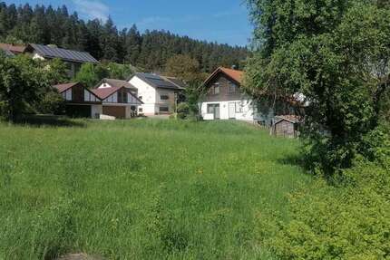 Grundstück Dietingen-Rotenzimmer Rotenzimmer - 83.895&euro; | Angebot:26179689