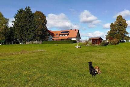 Haus Rötenbach Rötenbach - 7 Zimmer, 240 m&sup2;, 955.000&euro; | Angebot:25724237