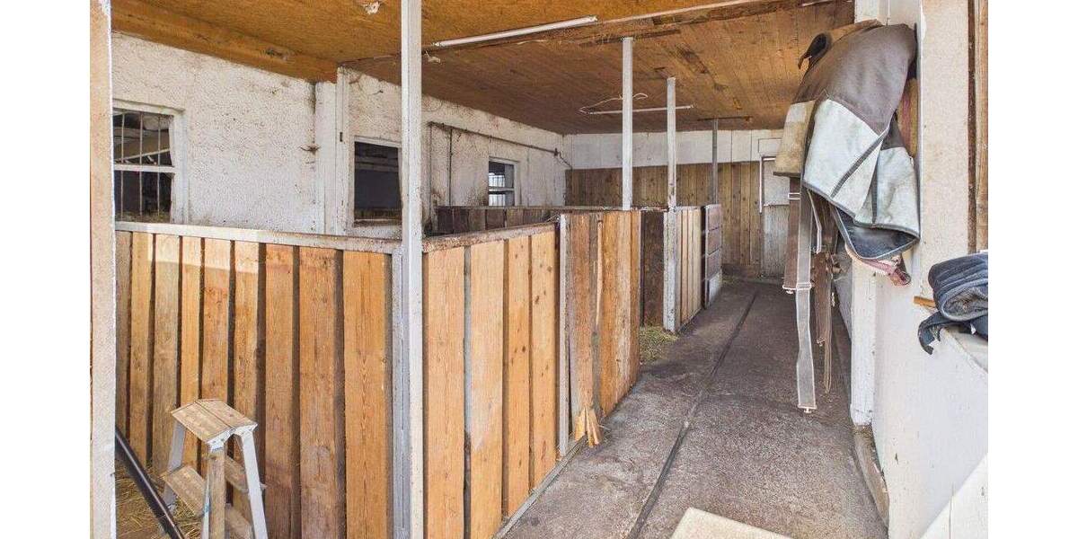 Mehrfamilienhaus, Wohnhaus Rottweil Hochwald - 1 Zimmer, 200 m&sup2;, 695.000&euro; | Angebot:25897861