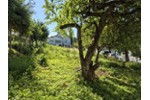 SONNIG & RUHIG MIT ERWEITERUNGSOPTION - Grundstück Tuttlingen | Angebot:27269589