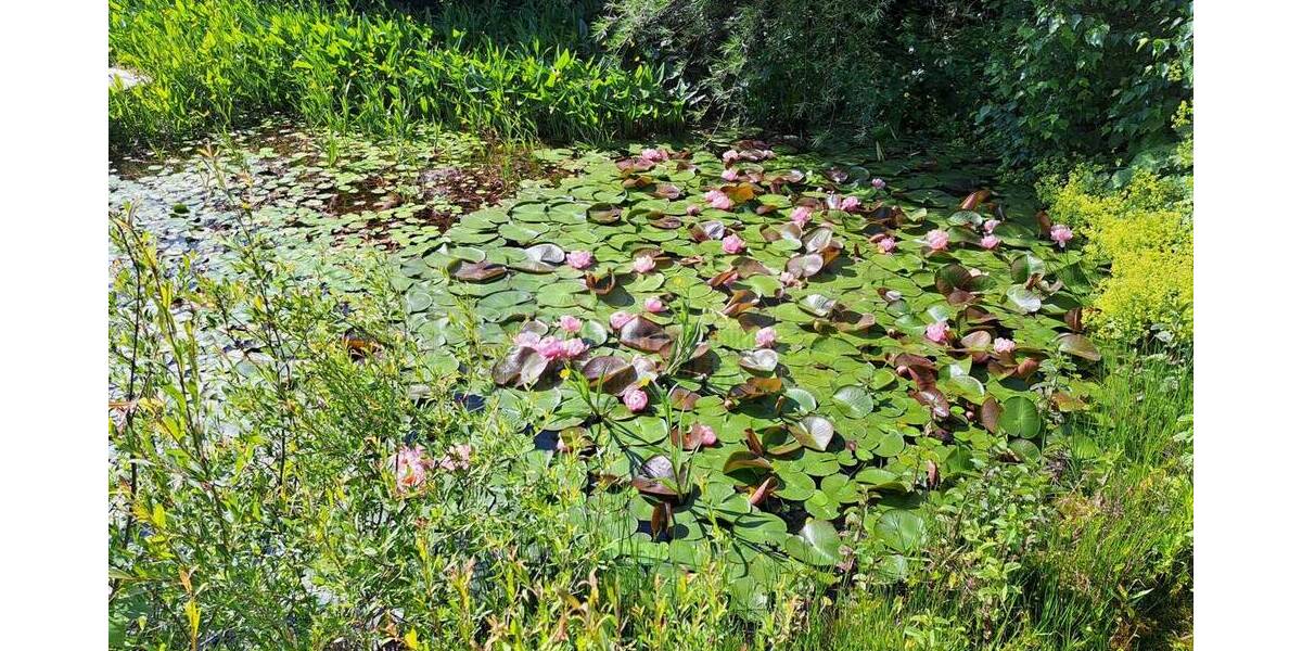 Einfamilienhaus Hüfingen / Hausen vor Wald Hausen vor Wald - 5 Zimmer, 134 m&sup2;, 537.000&euro; | Angebot:25738200