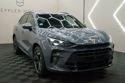 Cupra Terramar 14.965 km 37.980 &euro; Geisingen 78187