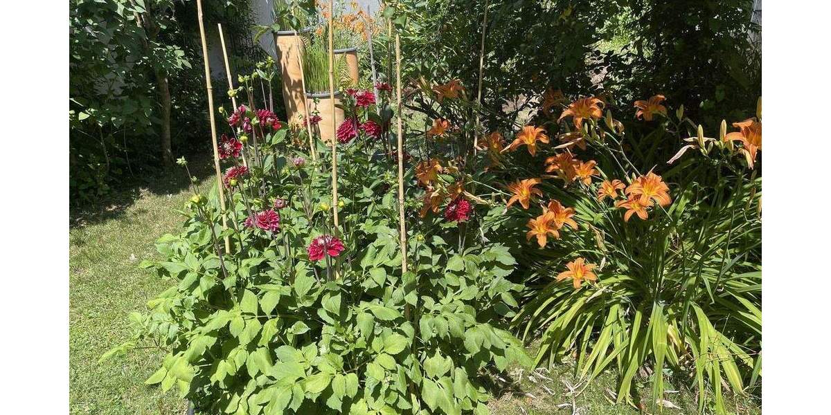 Einfamilienhaus Hornberg Stadtgebiet - 7 Zimmer, 200 m&sup2;, 599.000&euro; | Angebot:25736899