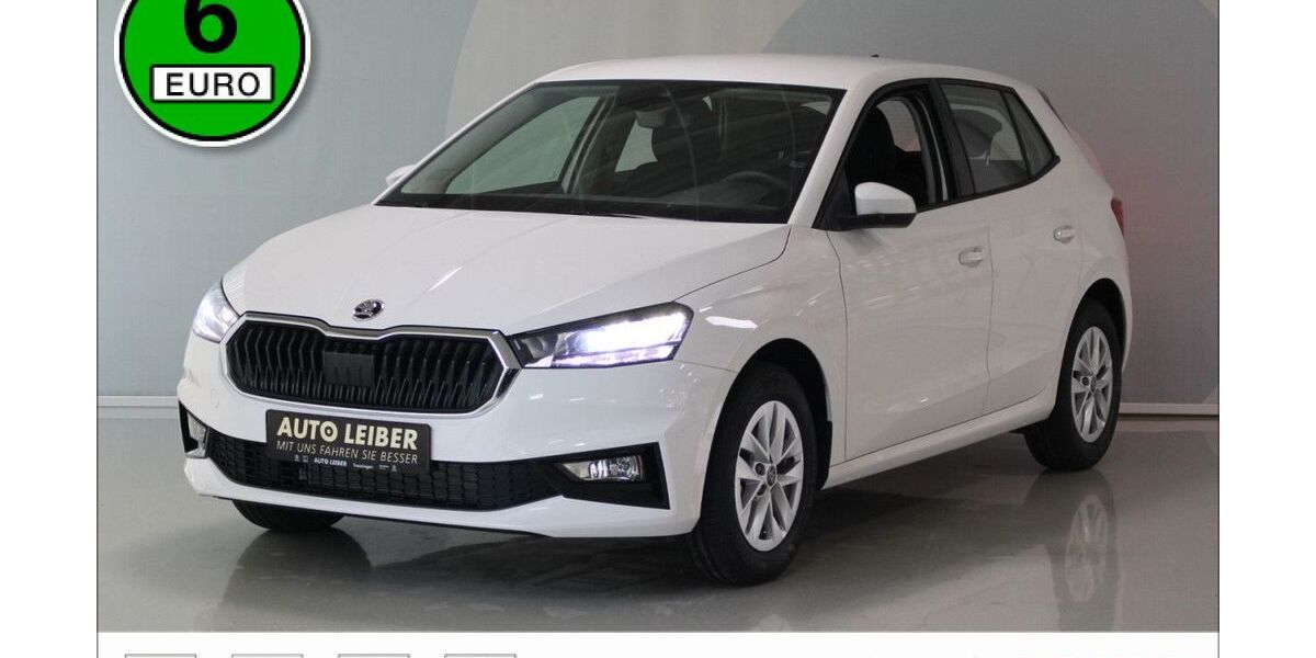 Skoda Fabia 2.500 km 20.190 &euro; Trossingen 78647