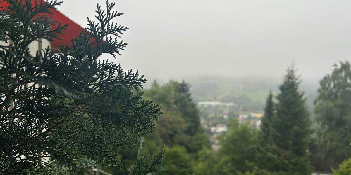 Etagenwohnung Unterkirnach Wallstadt - 3 Zimmer, 76 m&sup2;, 239.000&euro; | Angebot:25748323