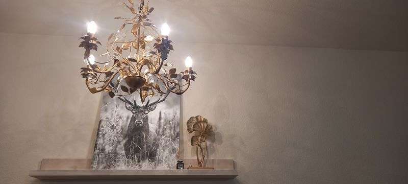 Zimmer Schönwald im Schwarzwald - 1 Zimmer, 900&euro; | Angebot:24986673