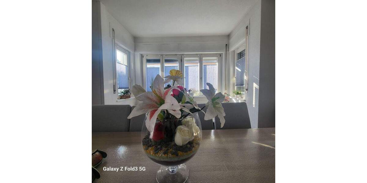 Mehrfamilienhaus, Wohnhaus Trossingen - 1 Zimmer, 270 m&sup2;, 440.000&euro; | Angebot:25662537