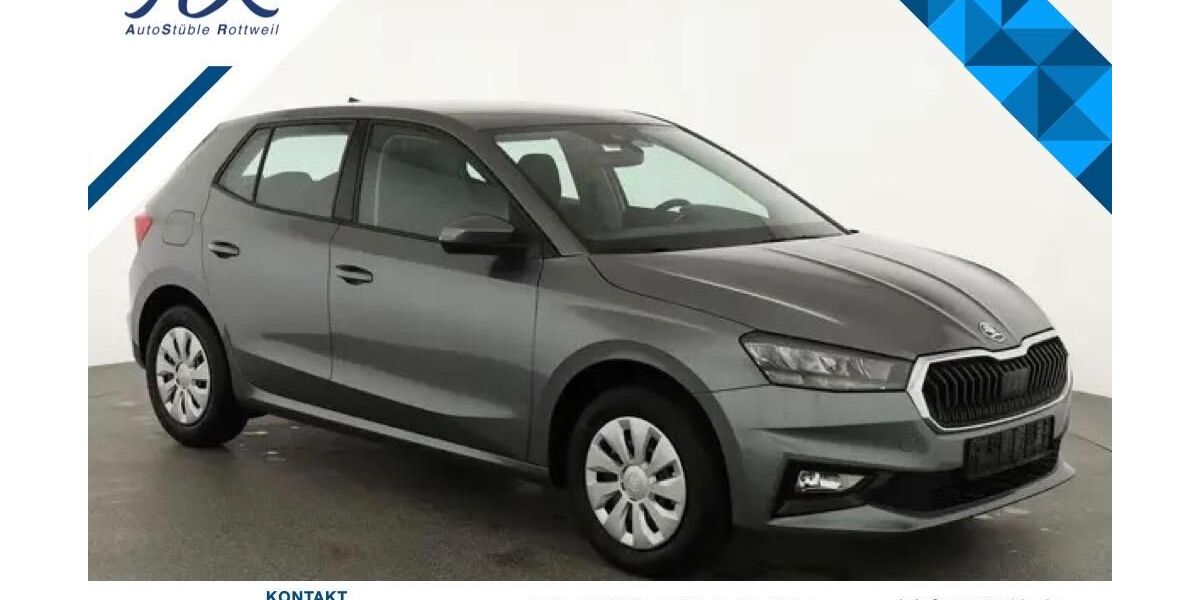 Skoda Fabia 1.020 km 19.695 &euro; Rottweil 78628