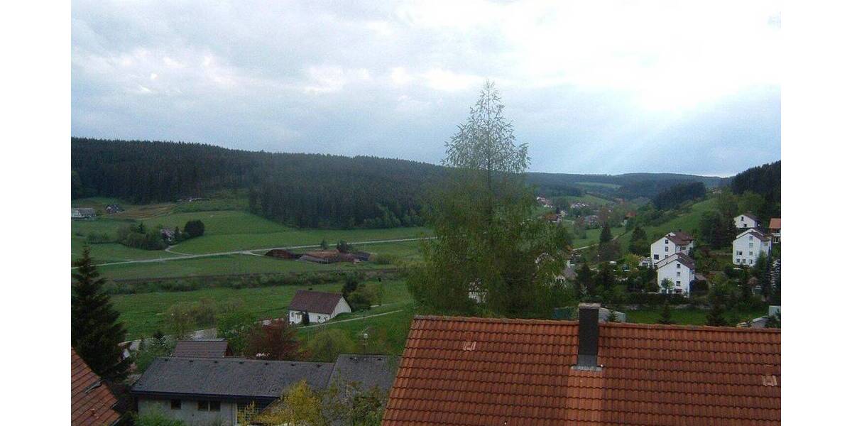 Mehrfamilienhaus, Wohnhaus Sankt Georgen im Schwarzwald Stadtgebiet - 1 Zimmer, 236 m&sup2;, 390.000&euro; | Angebot:26825844